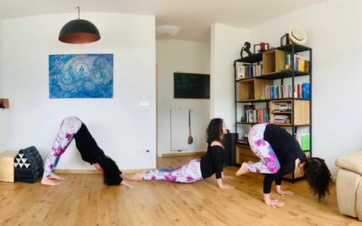 Posizioni Yoga: guida illustrata delle principali Asana Yoga